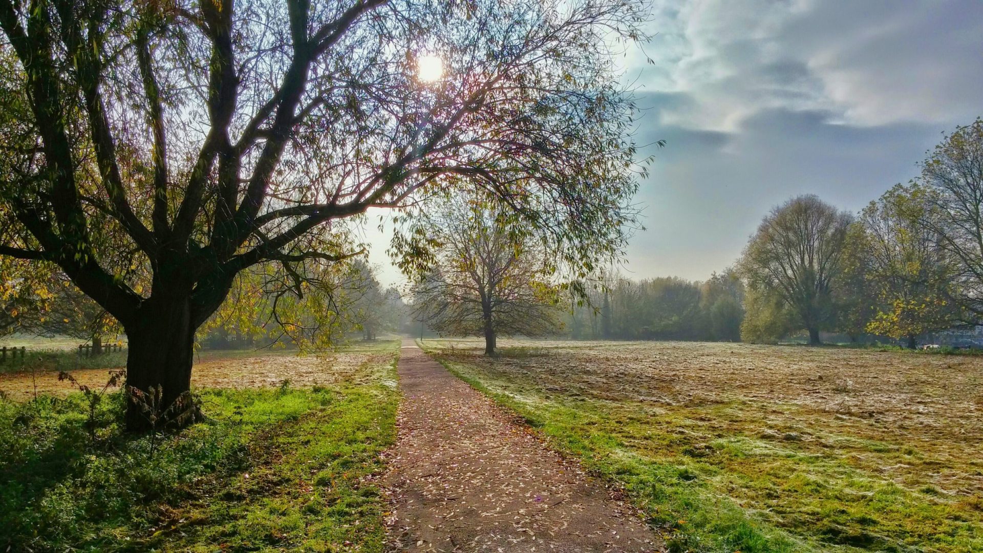 A quiet path through a park